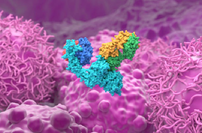 Daiichi Sankyo and AstraZeneca received a positive European opinion for a first-line ADC combination in HER2-positive breast cancer